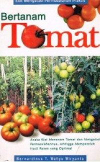 Image of Bertanam tomat