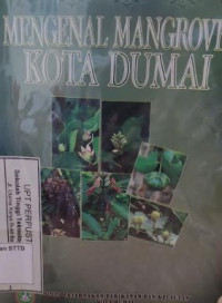 Image of mengenal mangrove kota dumai